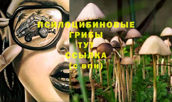 эйфоретик Арсеньев