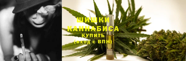 эйфоретик Арсеньев