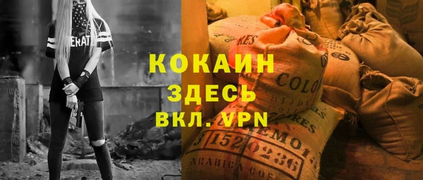 эйфоретик Арсеньев