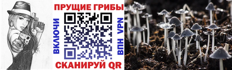 магазин  наркотиков  Поронайск  Галлюциногенные грибы мухоморы 